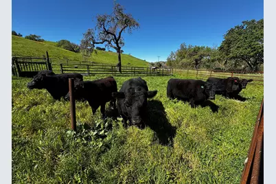 0 Alisos Canyon Road, Los Alamos, CA 93440 - Photo 53