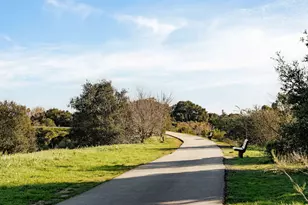 6269 Shamrock Ave, Goleta, CA 93117 - Photo 25