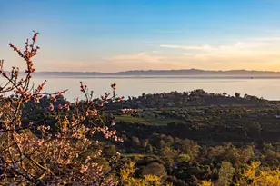 7401 Shepard Mesa Rd, Carpinteria, CA 93013 - Photo 25