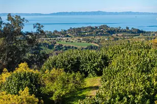 7401 Shepard Mesa Rd, Carpinteria, CA 93013 - Photo 13