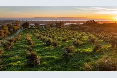 4488 Foothill Road, Carpinteria, CA 93013 - Photo 1