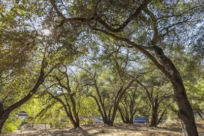 10920 Ventura Avenue, Ojai, CA 93022 - Photo 49