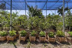 1048 E La Loma Ave, Somis, CA 93066 - Photo 45