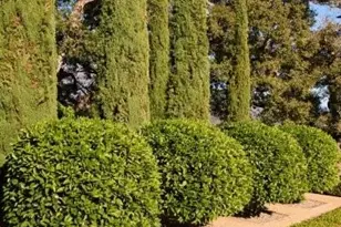 2910 Sycamore Canyon Rd, Montecito, CA 93108 - Photo 1