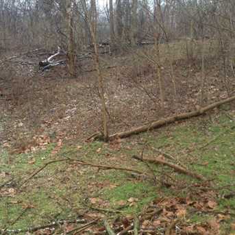 3734 River Road Tract 2 #Tract 2 - Photo 1