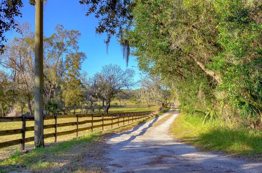 8304 Bob Wiggs Ave, Lithia FL  33547-2236 exterior