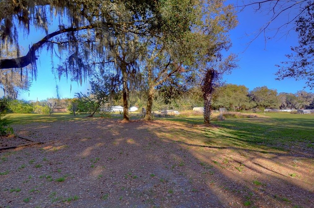 8304 Bob Wiggs Ave, Lithia FL  33547-2236 exterior