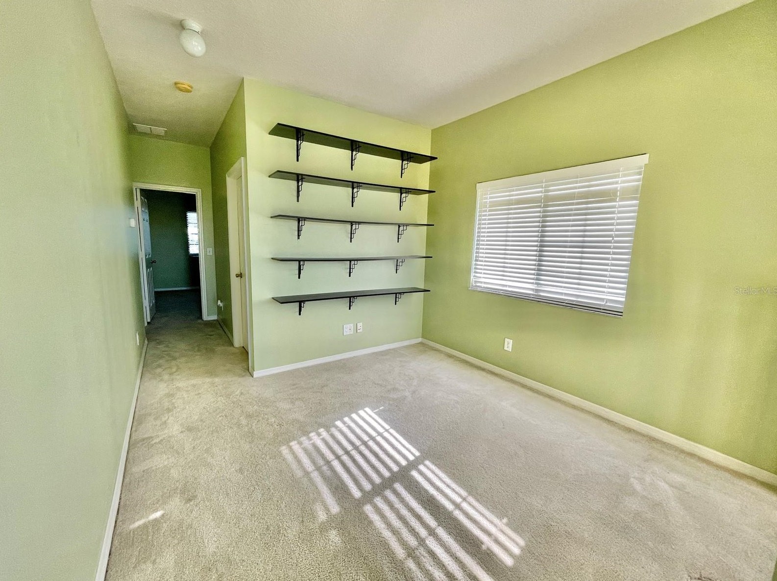 30217 Goodwick Way, Zephyrhills FL  33543-3961 exterior
