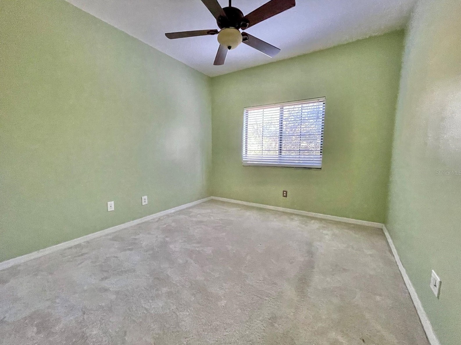 30217 Goodwick Way, Zephyrhills FL  33543-3961 exterior
