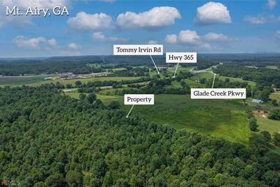 0 S Highway 365, Mount Airy, GA 30563 - Photo 1