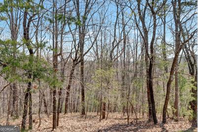 000 Autumn Sweet Drive #645, 646, Clarkesville, GA 30523 - Photo 1