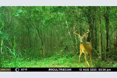 0 Harmony Gates Drive #TRACT 24, Commerce, GA 30530 - Photo 31