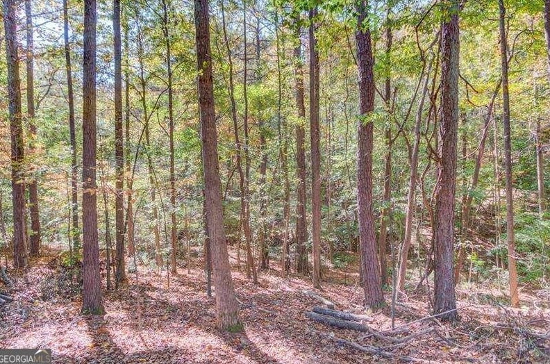 4624 Fox Forrest Dr, Flowery Branch GA  30542-3490 exterior