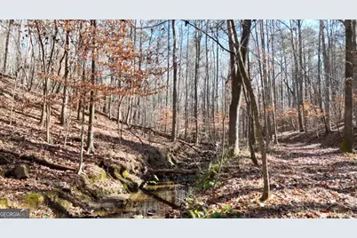 6155 (Lot #1) Little Ridge Road, Acworth, GA 30102 - Photo 23