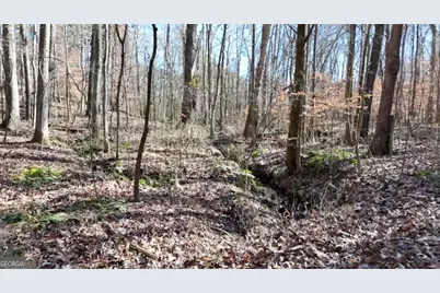 6155 (Lot #1) Little Ridge Road, Acworth, GA 30102 - Photo 13