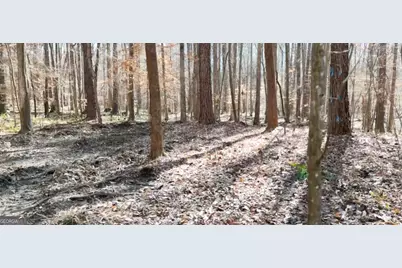 6155 (Lot #1) Little Ridge Road, Acworth, GA 30102 - Photo 15