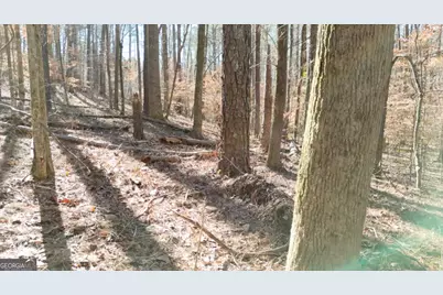 6155 (Lot #1) Little Ridge Road, Acworth, GA 30102 - Photo 15