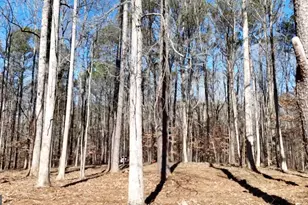 6155 Little Ridge Rd Lot 1, Acworth, GA 30102 - Photo 1