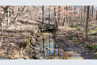 6155 (Lot #1) Little Ridge Road, Acworth, GA 30102 - Photo 5