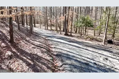 6137 Little Ridge Road LOT #3, Acworth, GA 30102 - Photo 15
