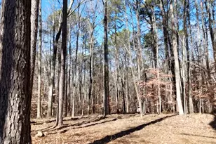 6137 Little Ridge Rd, Acworth, GA 30102 - Photo 1