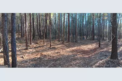 Tract C Sweetbriar Lane, Griffin, GA 30224 - Photo 11