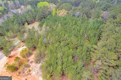 0 Lakeway, Martin, GA 30557 - Photo 17
