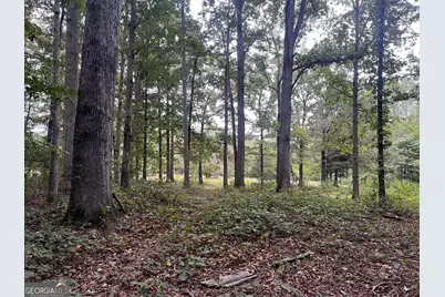 121 Carver Drive, Jefferson, GA 30549 - Photo 15