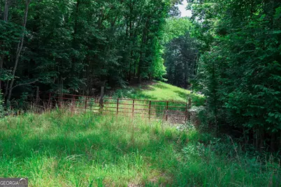0 Highway 330, Athens, GA 30607 - Photo 3