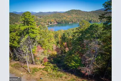 0 Ivy Ridge Way #LOT 40, Clarkesville, GA 30523 - Photo 9