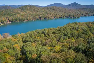 0 Ivy Rdg Wy, Clarkesville, GA 30523 - Photo 3