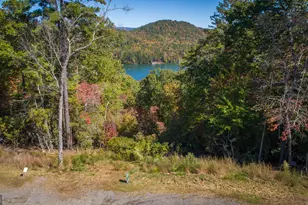 0 Ivy Rdg Wy, Clarkesville, GA 30523 - Photo 17