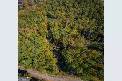0 Ivy Ridge Way #LOT 40, Clarkesville, GA 30523 - Photo 11