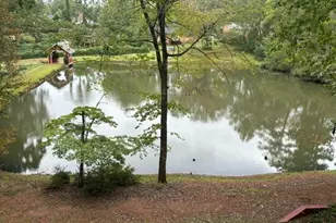 117 Mixon St, Griffin, GA 30224 - Photo 13