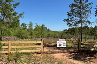 0 Silas Mercer Rd, Crawfordville, GA 30631 - Photo 1