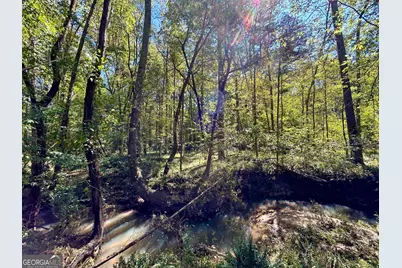 0 Silas Mercer Road, Crawfordville, GA 30631 - Photo 7