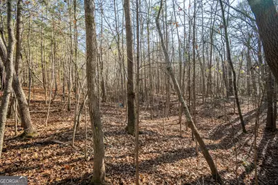 0 Lavista Road, Jefferson, GA 30549 - Photo 13