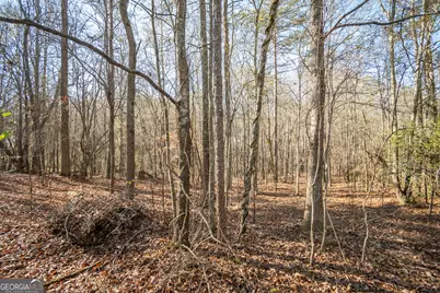 0 Lavista Road, Jefferson, GA 30549 - Photo 5