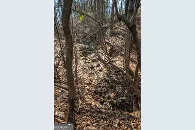 0 Lavista Road, Jefferson, GA 30549 - Photo 9