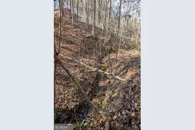 0 Lavista Road, Jefferson, GA 30549 - Photo 11