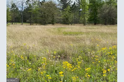 0 Main Trail, Fleming, GA 31309 - Photo 1