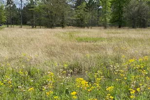 0 Main Trail, Fleming, GA 31309 - Photo 1