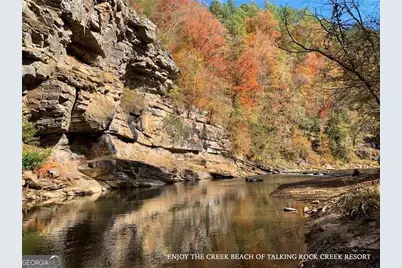 52 Grizzley Court, Ranger, GA 30734 - Photo 29