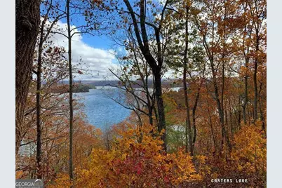 52 Grizzley Court, Ranger, GA 30734 - Photo 49