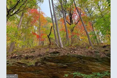 52 Grizzley Court, Ranger, GA 30734 - Photo 27