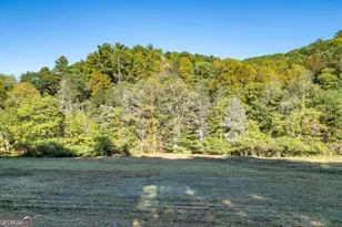 881 Fox Mountain, Cherrylog, GA 30522 - Photo 47