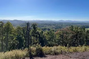 0 Piney Rd, Mineral Bluff, GA 30559 - Photo 1