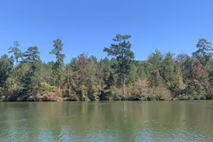 0 Harbour Pointe Dr, Sparta, GA 31087 - Photo 3