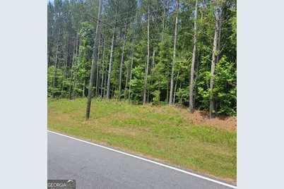 0 Bohannon, Grantville, GA 30220 - Photo 5