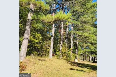 0 Bohannon, Grantville, GA 30220 - Photo 3